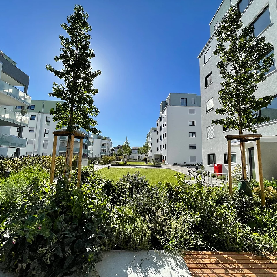 RQ TT Blick auf einen begrünten Innenhof mit jungen Bäumen zwischen modernen Wohngebäuden unter blauem Himmel.