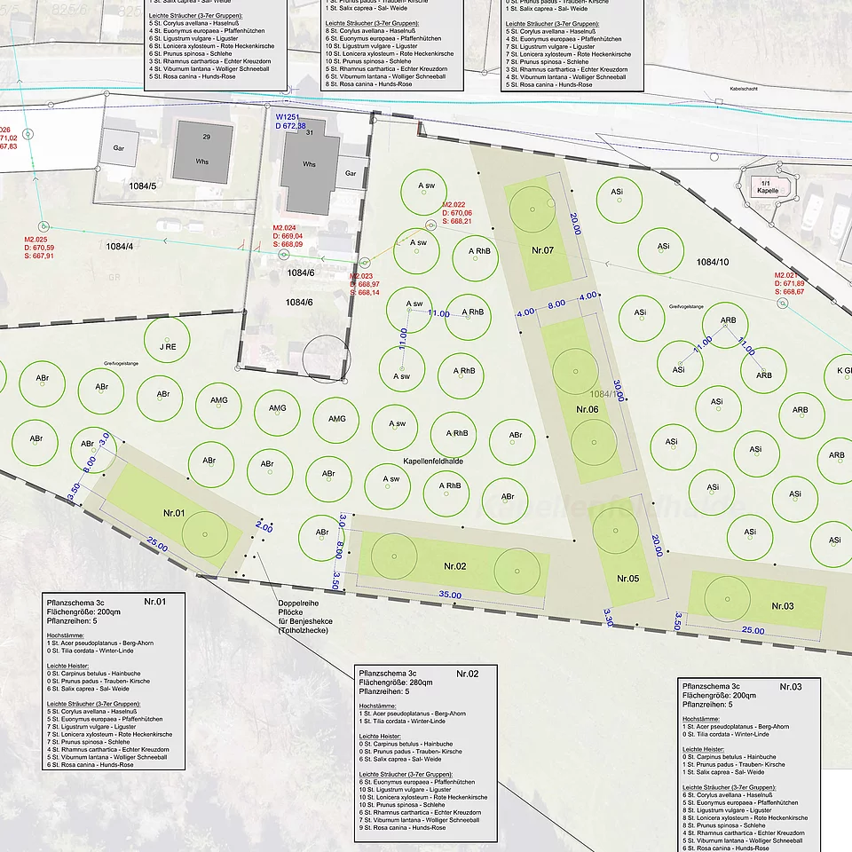 Lageplan eines Gartens oder Parks mit markierten Bereichen und Bäumen, inklusive Beschriftungen zu Pflanzzonen und Pflanzenarten sowie angrenzenden Gebäuden und Flurstücknummern.