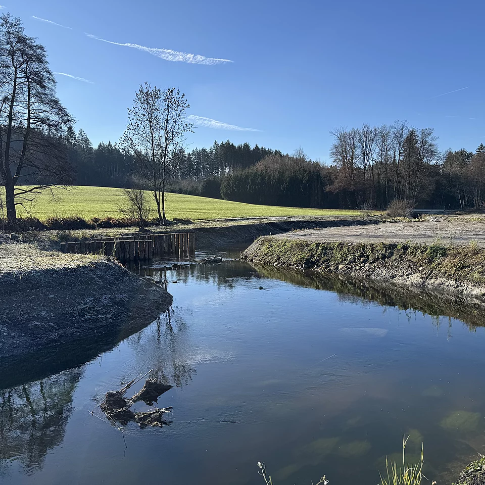 Flusslauf mit klarem Wasser an einem sonnigen Tag, umgeben von Grasflächen und Bäumen, blauer Himmel ohne Wolken.